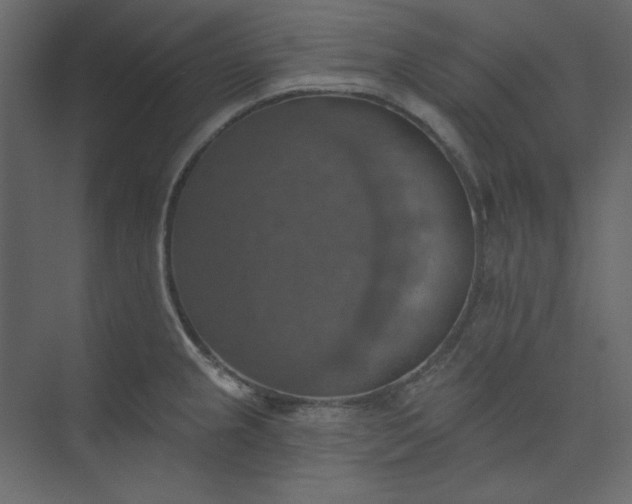 X0000073891237200608251423