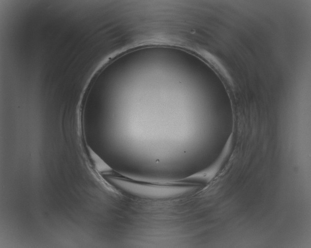 X0000073891238200608251423