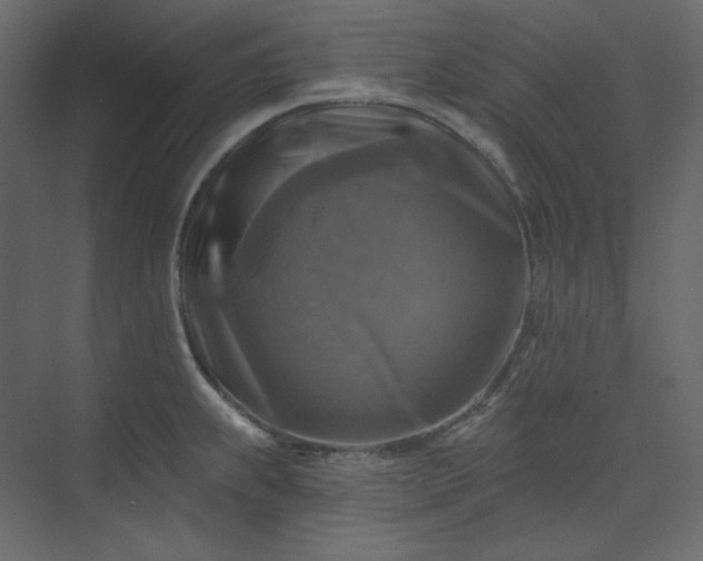 X0000073891239200608251423