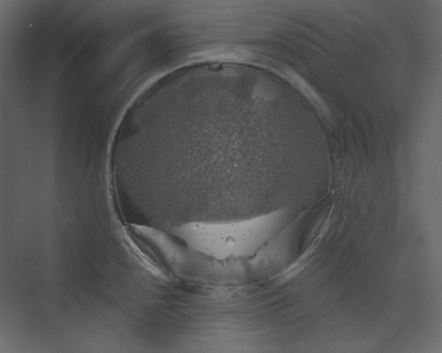 X0000073891240200608251423