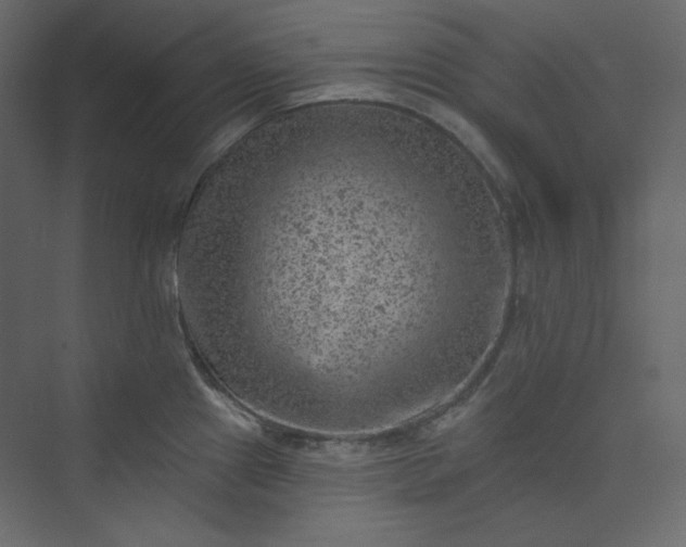 X0000073891241200608251423