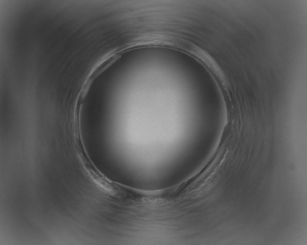 X0000073891242200608251423