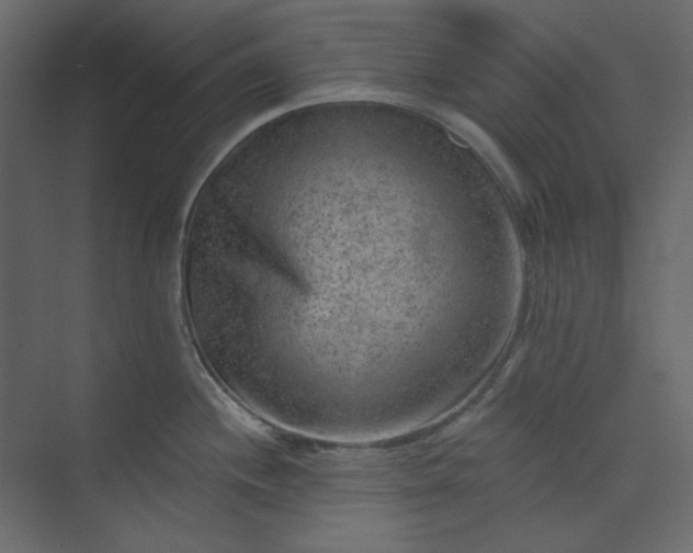 X0000073891244200608251423