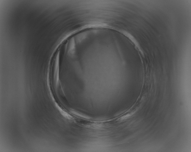 X0000073891245200608251423