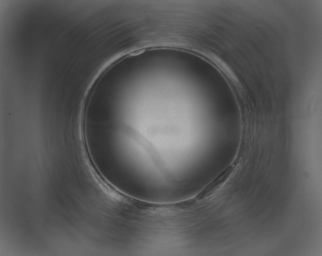 X0000073891246200608251423