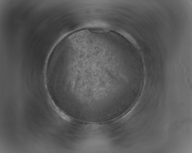 X0000073891248200608251423