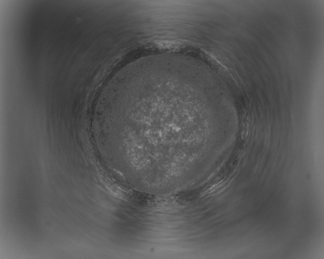 X0000073891249200608251422