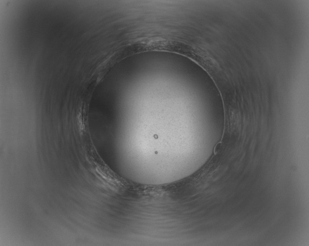 X0000073891250200608251422