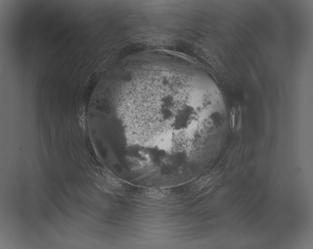 X0000073891251200608251422