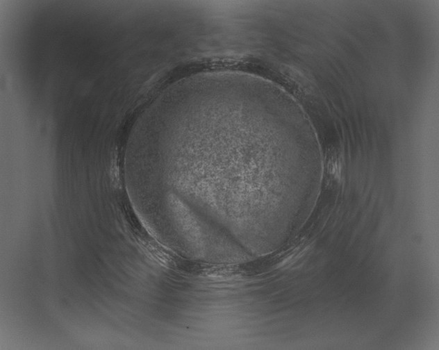 X0000073891252200608251422