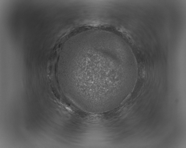 X0000073891253200608251422