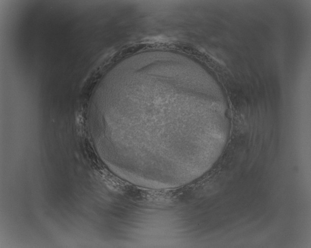 X0000073891254200608251422