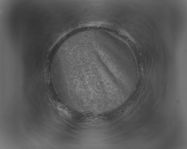 X0000073891256200608251422