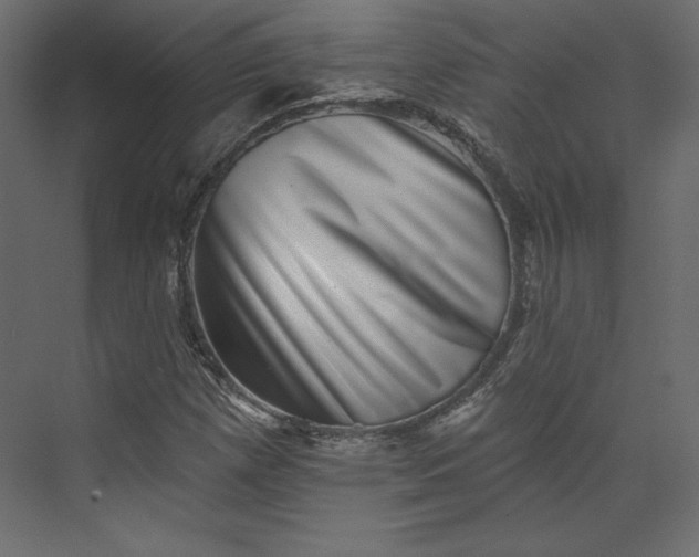 X0000073891257200608251422