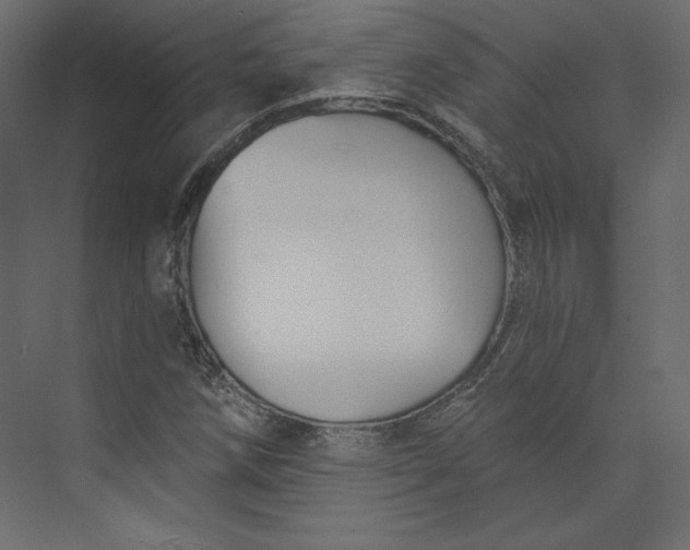 X0000073891258200608251422