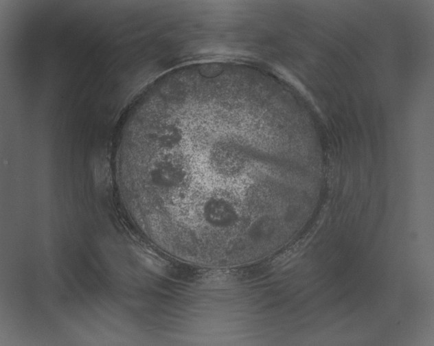 X0000073891259200608251422