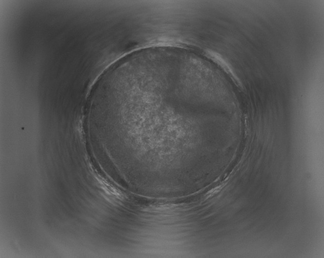 X0000073891260200608251422