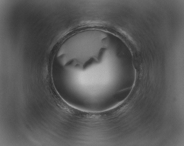 X0000073891261200608251422