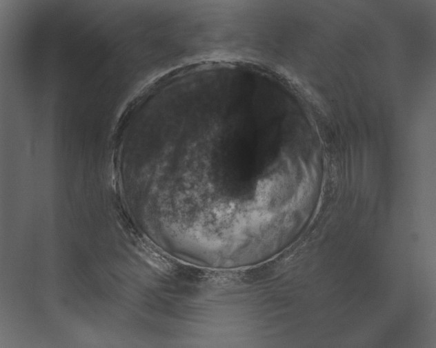 X0000073891262200608251422