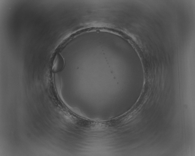 X0000073891263200608251422