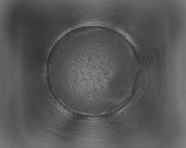 X0000073891264200608251422