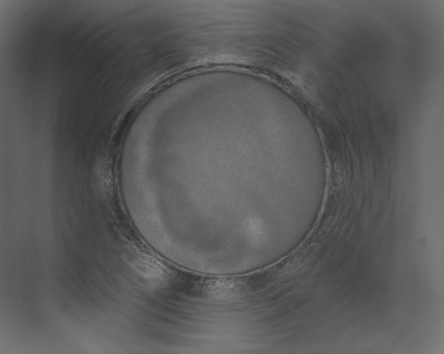 X0000073891266200608251422