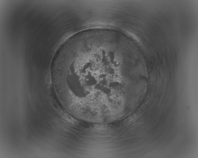 X0000073891267200608251422