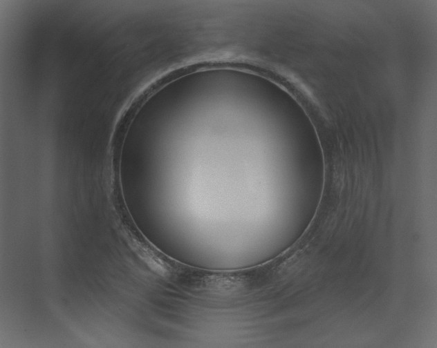 X0000073891270200608251422