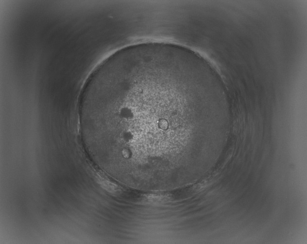 X0000073891271200608251422