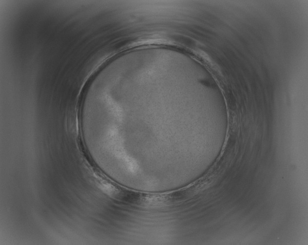 X0000073891274200608251422