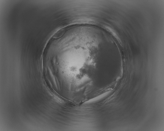 X0000073891275200608251422