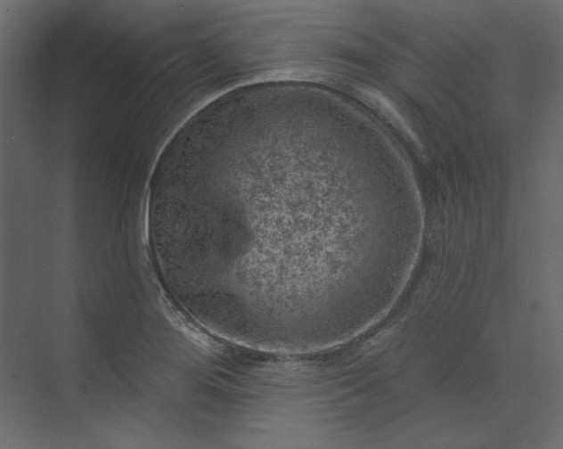 X0000073891276200608251422