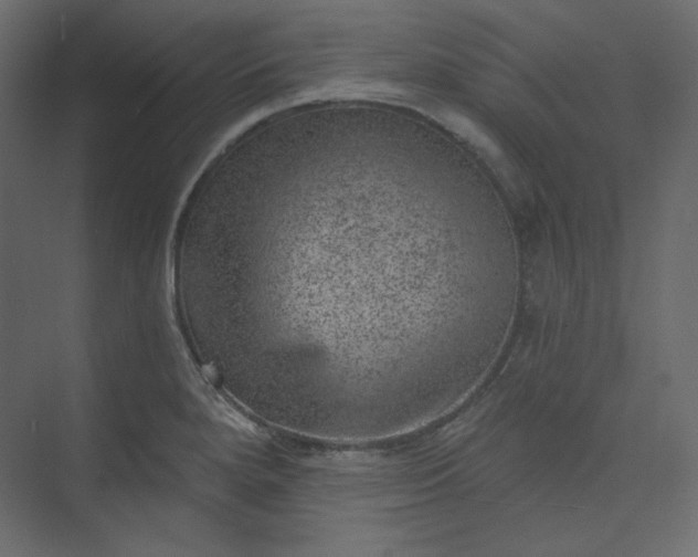 X0000073891280200608251422