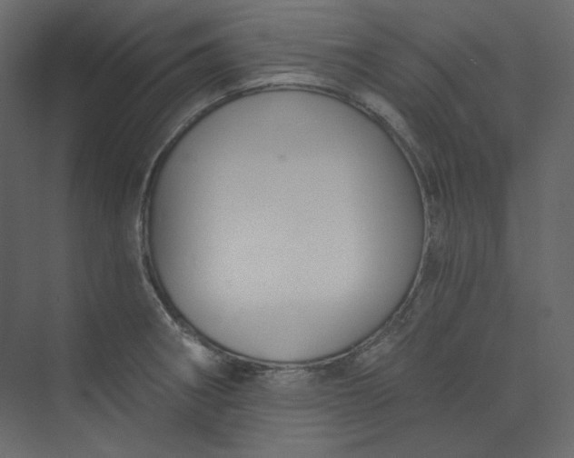 X0000073891282200608251422