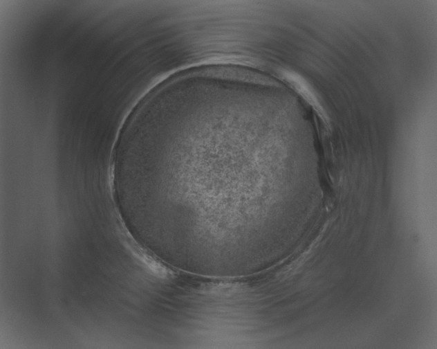 X0000073891284200608251422