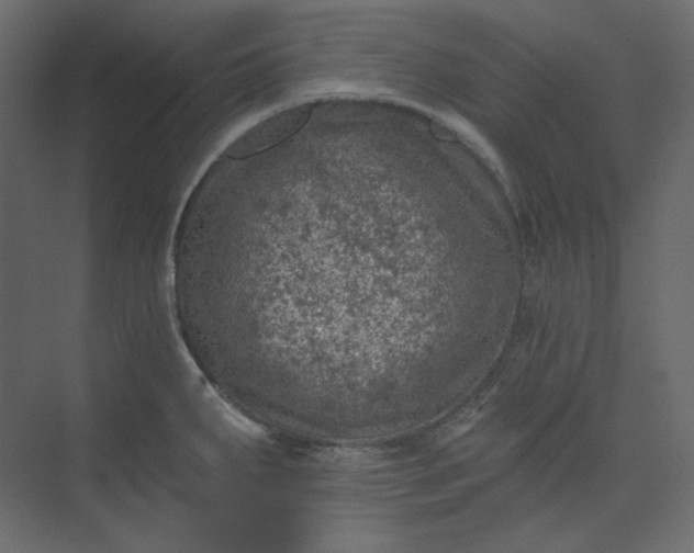 X0000073891287200608251422