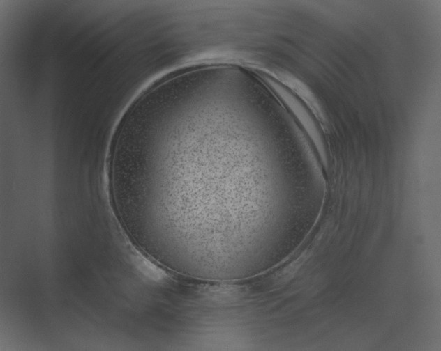 X0000073891288200608251421