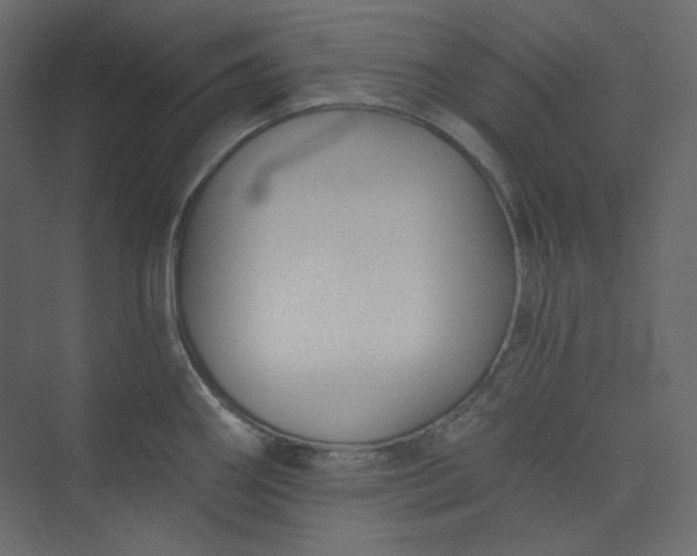 X0000073891290200608251421