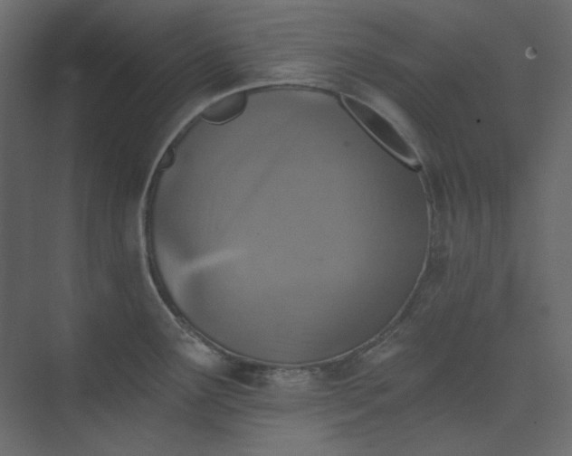 X0000073891291200608251421