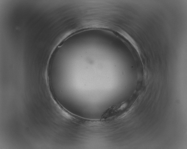 X0000073891293200608251421