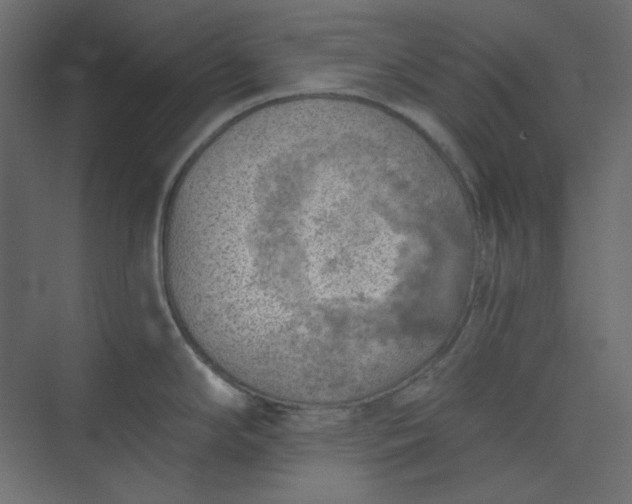 X0000073891294200608251421