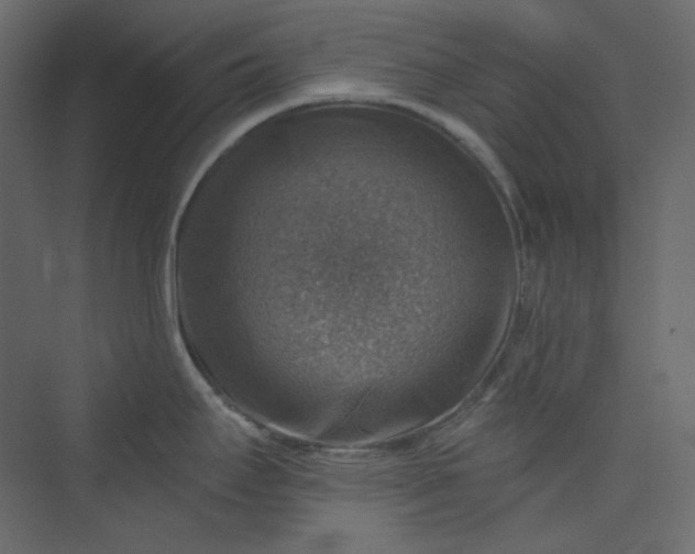 X0000073891295200608251421