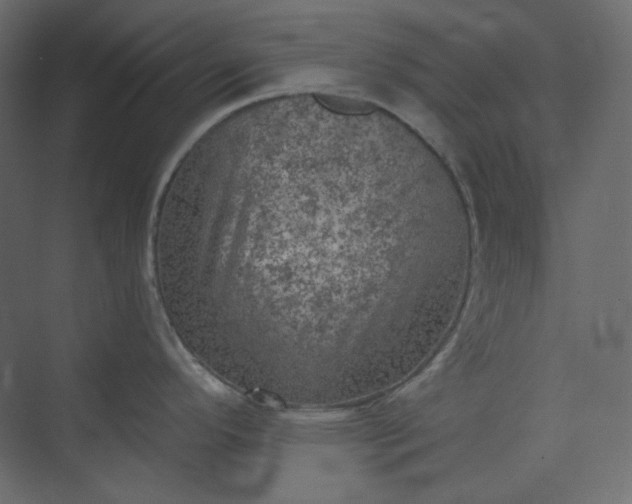 X0000073891296200608251421