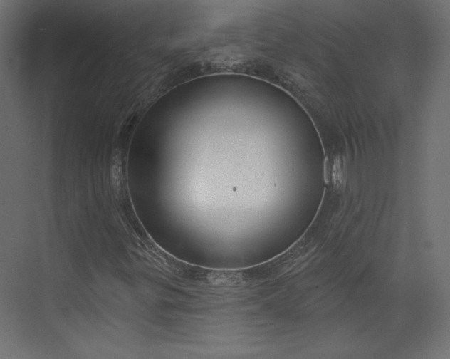 X0000073891299200608251421