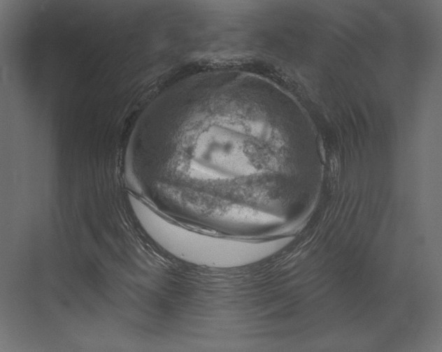 X0000073891300200608251421