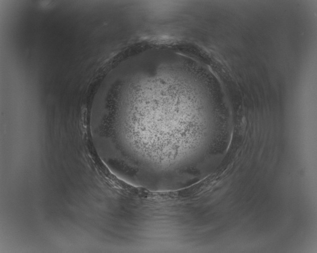 X0000073891301200608251421