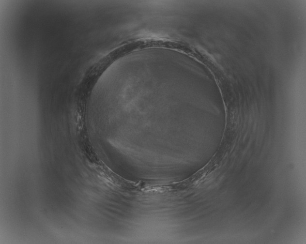 X0000073891303200608251421