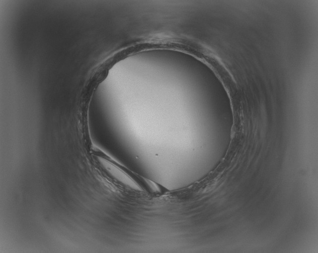 X0000073891304200608251421