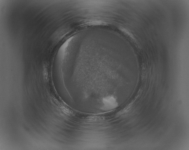 X0000073891305200608251421