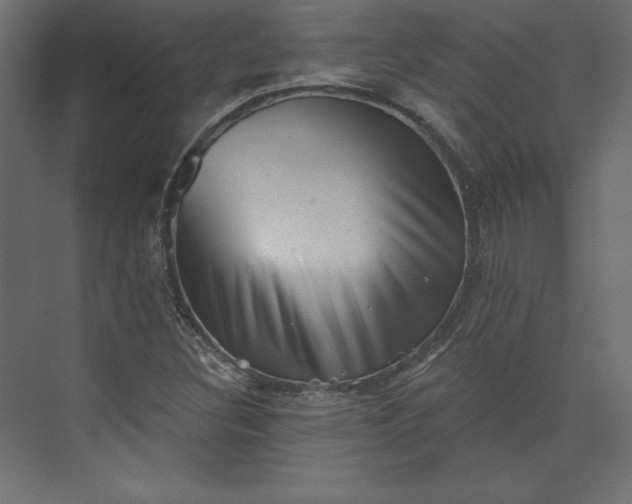 X0000073891308200608251421